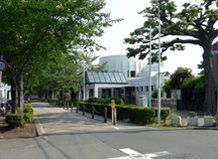 青山霊園・東京都港区